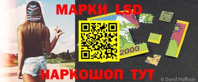 стаф Берёзовский