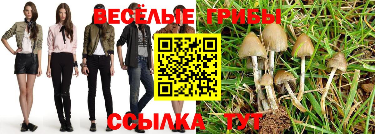 Псилоцибиновые грибы Magic Shrooms  Вход с VPN  Каменск-Шахтинский 